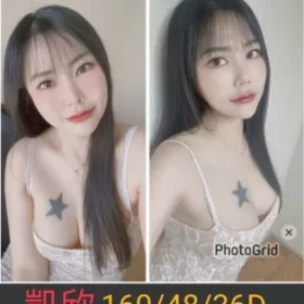 南投定點茶-凱欣