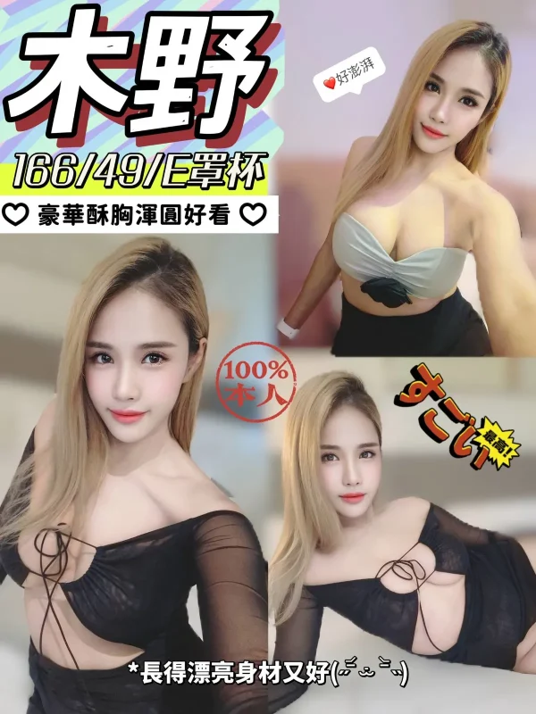 南投定點茶-木野