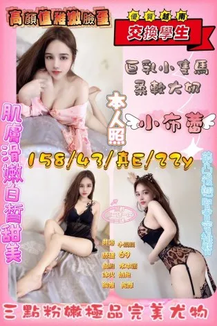 新竹定點茶-小布蕾