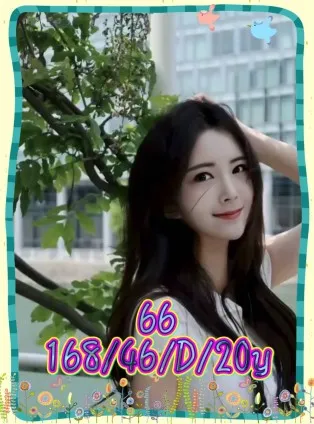 台中外送茶-六六