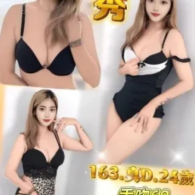 新北定點茶-荷秀