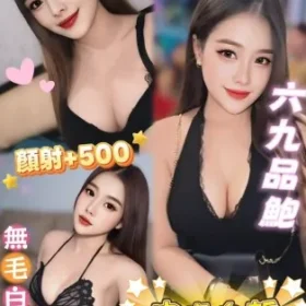 南投定點茶-賈賈